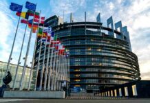 EP navrhuje nadnárodní kandidátku pro volby do EU volby_do_EU