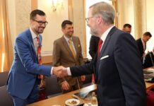 Nový koordinátor NERV je Havlíček. Procházka míří do ČNB NERV