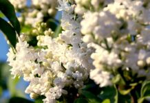 FinTag.cz: Přehled článků od 1.5. do 8.5. 2023 fintag