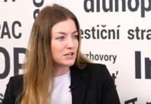 Ochota bank půjčovat peníze oslabí, říká Anna Píchová Anna_Pichova