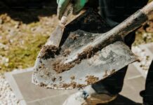 První kroky při rekonstrukci zahrady či chaty: Čím začít? zahrady