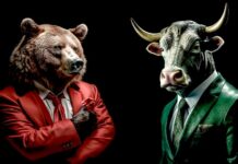 Trading vs. investování: Kde jsou rozdíly, co je pro vás? investovani