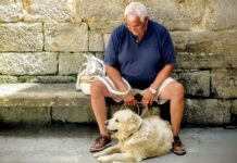 ČSSZ eviduje 12 tisíc žádostí o důchod po termínu zadosti_o