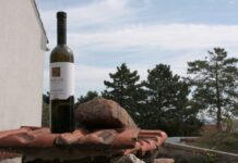 Na Moravu nejezdi, Stanjuro! Vinaři se bouří kvůli spotřební dani spotrebni