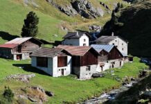 Švýcaři schválili vyšší daň pro firmy i klimatický zákon svycari