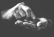 Analýza: Transformované penzijní fondy peníze nenesou transformovane_penzijni_fondy