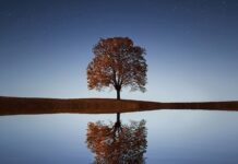 FinTag: Přehled článků od 17.7. do 23.7. 2023 FinTag