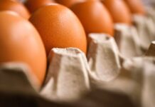 Ceny zemědělských výrobců v květnu klesly o 10,2 % zemedelskych