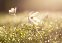 FinTag: Přehled článků od 21.8. do 27.8. 2023 FinTag