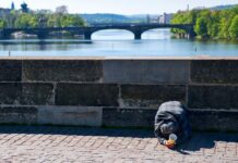 Evropané oproti Američanům rychle chudnou, píše WSJ evropane