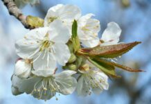 FinTag.cz: Přehled článků od 24.4. do 30.4. 2023 fintag