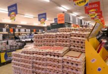 V srpnu mírně zlevnilo jídlo, ale výrazně zdražily pohonné hmoty v_srpnu