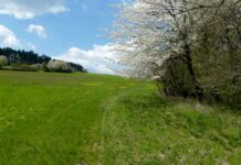 Pozemkový úřad zdražil pachtovné na zemědělské půdě zemedelske