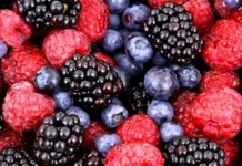 Češi si z lesa loni odnesli plody za 7,9 miliardy korun Cesi