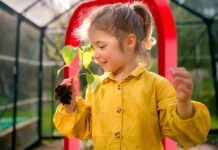 Komerční banka a Amundi znovu propagují odpovědné investice investice