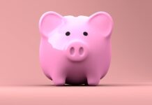 Ne všechny změny v penzijním spoření budí nadšení. Potíž je v DIP penzijnim_sporeni