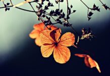 FinTag: Přehled článků od 2.10. do 8.10. 2023 FinTag