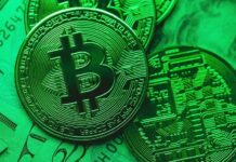 Trh kryptoměn: Krypto chaos nebo zlatý důl pro investory? kryptomen