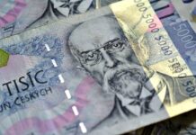 Státní dluh dosáhl 43,1 % HDP. Nově ho ČR financuje i v dolarech statni_dluh