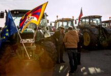 Čeští zemědělci budou protestovat 19., 22. a možná i 29. února zemedelci