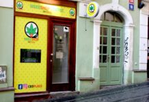 Vládní zákaz HHC akceleroval tuzemský trh s HHC HHC