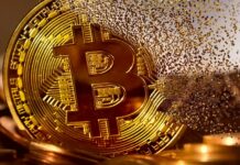 Kovanda: Půlení bitcoinu nemá zásadní vliv na cenu kryptoměny cenu