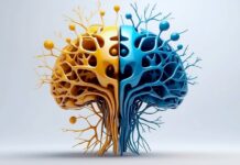 Umělá inteligence zvedá produktivitu firem, které ji využívají umela_inteligence