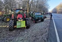 Za potíže zemědělců může Merkelová, tvrdí německá vláda zemedelcu