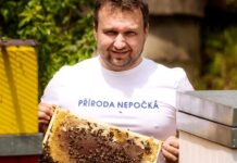 Komentář: Pro-rodinná sociální politika? Nikoli, jen lidovci jsou na dně lidovci