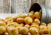 Ceny prvovýrobců v meziměsíčním srovnání v únoru opět rostly v_unoru