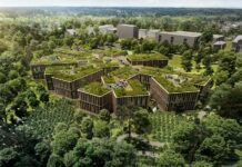 Lesy ČR se vrací k projektu nové administrativní dřevostavby administrativni_drevostavby