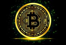 Halving: Růst ceny bitcoinu můžeme očekávat i tentokrát halving