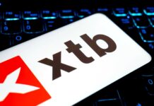 TOP 3 edukační materiály XTB na léto 2024 XTB