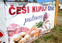 Ceny výrobců: Analytici upozorňují na další zdražování potravin ceny