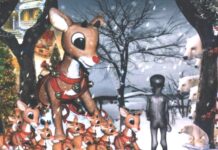 Bob Geldof sklízí kritiku za pomoc Africe. Jděte do háje, říká kritikům Bob_Geldof