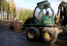 Lesy ČR mají odvést státu sedm miliard korun. Zvažují i úvěr Lesy_CR