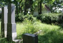 Tam, kde převládnou sobecké zájmy, dědictví rozdělí rodinu dedictvi