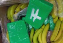 Nadprodukce kokainu snižuje jeho cenu. V ČR je už i v regionech kokainu