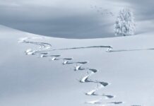 FinTag: Přehled článků od 27.11. 2023 do 3.12. 2023 prehled