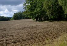 Zemědělci dostanou příští rok národní dotace za 3,7 mld. Kč zemedelci