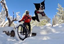 Movití lidé stárnou pomaleji než lidé nemovití. Mají jiný životní styl lide