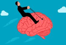 Kolik bitů je v našem mozku? Ne víc než ve videu na YouTube mozku