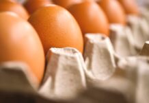 Ceny v zemědělství dál pokračují v růstu. A potraviny dál zdraží ceny