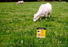 Zdražují zemědělci i potravináři. Dál roste inflace ve službách inflace