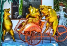 The Spectator: Demokracie umírá v Rumunsku   v_Rumunsku