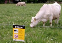 V zemědělství se zdražuje už stejně rychle jako v roce 2023 zemedelstvi