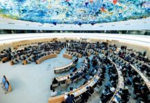 Osekání rozpočtu nutí WHO šetřit i redukovat vedoucí pracovníky WHO