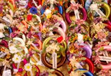 Dušičky letos vyjdou levněji než loni, v průměru o 10 % dusicky