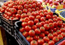 Zdražování potravin nekončí. Naopak bude pokračovat potravin