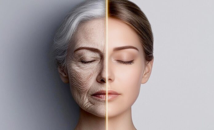 dlouhovekosti dlouhovekosti